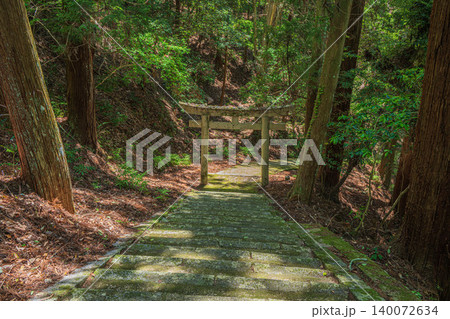 飛鳥川上坐宇須多岐比売命神社参道　奈良県明日香村 140072634