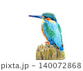 水辺の朽木とカワセミ 140072868