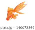 優雅に泳ぐきんぎょ 140072869