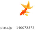 泳ぐきんぎょ一匹 140072872