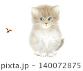 てんとう虫に驚く仔猫 140072875