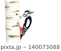 白樺とキツツキ 140073088