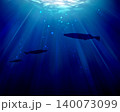 光が射す海を泳ぐ魚 140073099