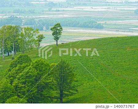 北海道の絶景 滝川市 丸加高原展望台 北海道の絶景 滝川市 丸加高原展望台 140073767