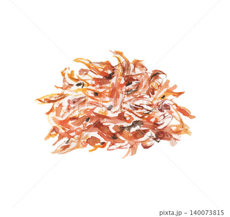 いかなごのくぎ煮の水彩イラスト いかなごのくぎ煮の水彩イラスト 140073815