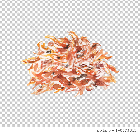 いかなごのくぎ煮の水彩イラスト いかなごのくぎ煮の水彩イラスト 140073815
