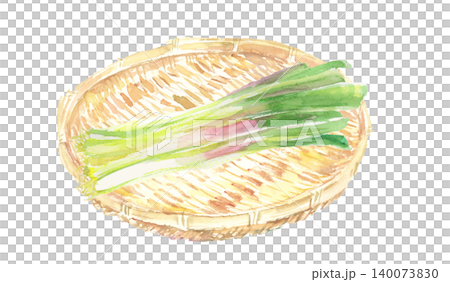籠に盛られた行者ニンニクの水彩イラスト 140073830