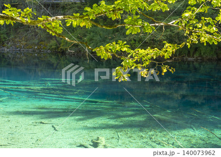 Amazing view of Peacock lake in autumn in Jiuzhaigou nature reserve (Jiuzhai Valley National Park),China. Amazing view of Peacock lake in autumn in Jiuzhaigou nature reserve (Jiuzhai Valley National Park),China. 140073962