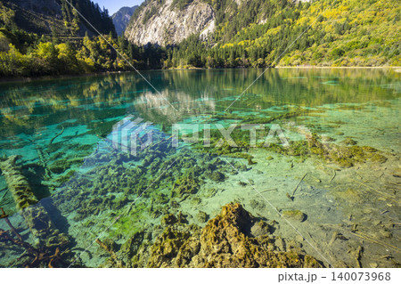 Amazing view of Peacock lake in autumn in Jiuzhaigou nature reserve (Jiuzhai Valley National Park),China.  140073968