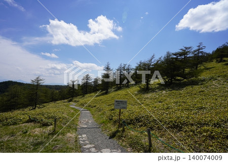 5月下旬の池ノ平湿原（長野県東御市） 140074009