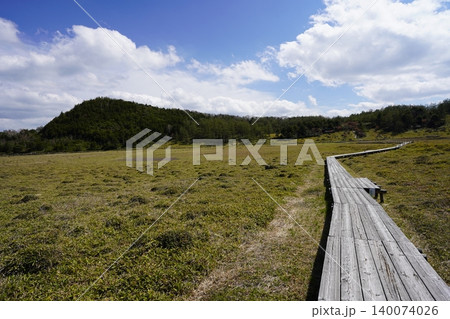 5月下旬の池ノ平湿原(長野県東御市) 5月下旬の池ノ平湿原(長野県東御市) 140074026
