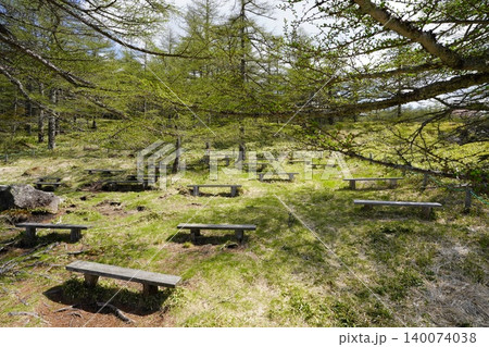 5月下旬の池ノ平湿原(長野県東御市) 5月下旬の池ノ平湿原(長野県東御市) 140074038