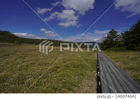 5月下旬の池ノ平湿原(長野県東御市) 5月下旬の池ノ平湿原(長野県東御市) 140074041