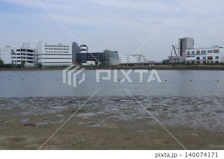 大森ふるさとの浜辺公園 大森ふるさとの浜辺公園 140074171