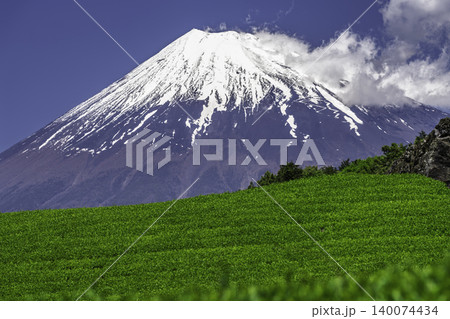 美しい茶畑の新緑と残雪の富士山 美しい茶畑の新緑と残雪の富士山 140074434