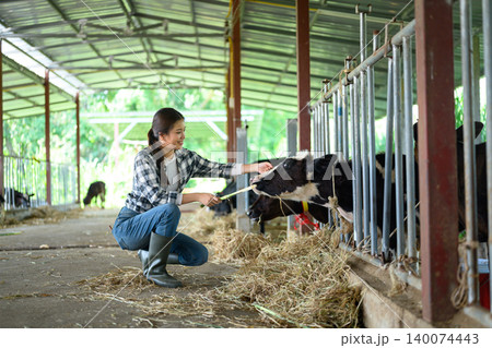 Happy young woman worker of livestock holding fresh hay for cows. Concept dairy farm 140074443