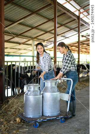 Dairy farm workers checking cows and recording milk production in barn 140074445
