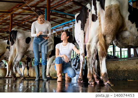 Dairy workers inspecting cow udder and recording data during milking process Dairy workers inspecting cow udder and recording data during milking process 140074453