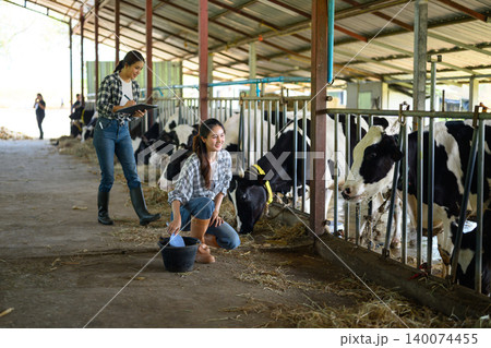 Two are Dairy farmers recording details and feeding of each cow on the farm. Two are Dairy farmers recording details and feeding of each cow on the farm. 140074455