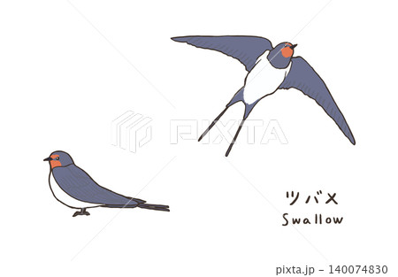 シンプルな燕のイラスト 可愛いツバメのイラスト シンプルな燕のイラスト 可愛いツバメのイラスト 140074830