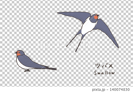 シンプルな燕のイラスト 可愛いツバメのイラスト シンプルな燕のイラスト 可愛いツバメのイラスト 140074830