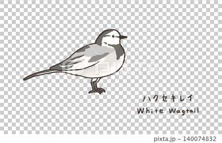 シンプルなハクセキレイのイラスト 可愛いセキレイのイラスト シンプルなハクセキレイのイラスト 可愛いセキレイのイラスト 140074832