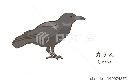 シンプルなカラスのイラスト 可愛いカラスのイラスト 140074875