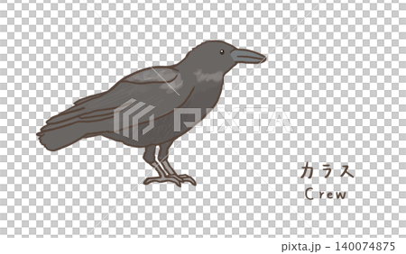 シンプルなカラスのイラスト 可愛いカラスのイラスト 140074875
