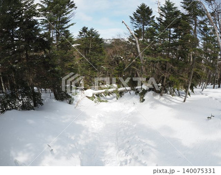 3月下旬の縞枯山・茶臼山(長野県茅野市・佐久穂町) 3月下旬の縞枯山・茶臼山(長野県茅野市・佐久穂町) 140075331