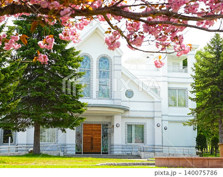 春の羊ケ丘展望台 クラークチャペルと八重桜 春の羊ケ丘展望台 クラークチャペルと八重桜 140075786