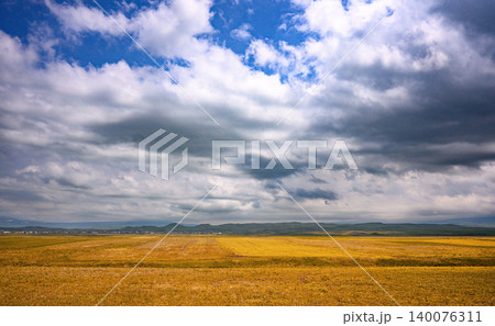 Open golden field under dynamic cloud-filled sky with distant mountains 140076311