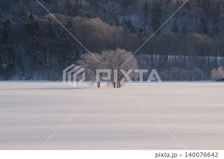 北海道道北の霧氷の木立と雪原、遠景の森、冬の静かな雪景色 北海道道北の霧氷の木立と雪原、遠景の森、冬の静かな雪景色 140076642