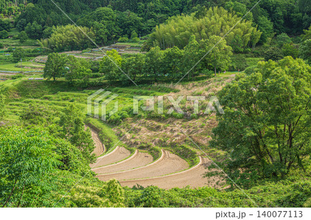 稲渕の棚田 秘密の展望台からの景観 奈良県明日香村 稲渕の棚田 秘密の展望台からの景観 奈良県明日香村 140077113