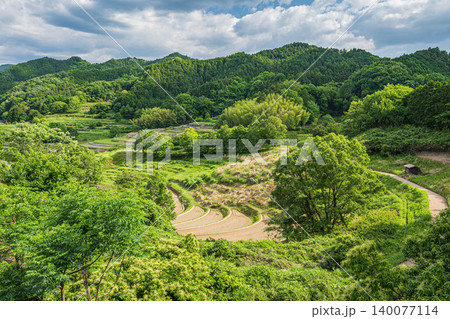 稲渕の棚田 秘密の展望台からの景観 奈良県明日香村 稲渕の棚田 秘密の展望台からの景観 奈良県明日香村 140077114