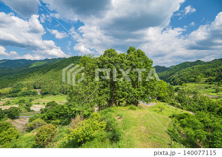 稲渕の棚田　秘密の展望台からの景観　奈良県明日香村 140077115
