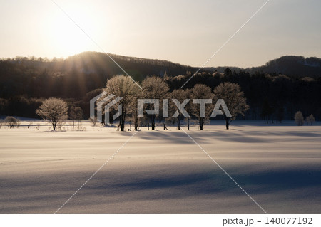 北海道道北の朝の逆光に輝く霧氷の木立と雪原、針葉樹林の冬の絶景(3月) 北海道道北の朝の逆光に輝く霧氷の木立と雪原、針葉樹林の冬の絶景(3月) 140077192