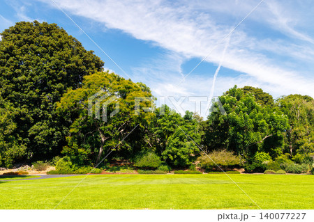 A vast green grass meadow stretching towards the horizon with a trees A vast green grass meadow stretching towards the horizon with a trees 140077227