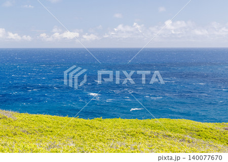 Sunny Hawaiian landscape with ocean and hills 140077670