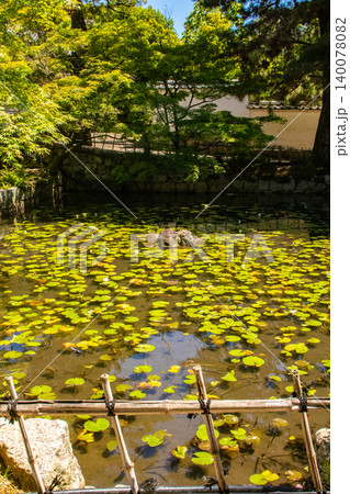 萬福寺 和む布袋座像のご利益:商売繁盛,開運招福,学業成就,健康長寿 萬福寺 和む布袋座像のご利益:商売繁盛,開運招福,学業成就,健康長寿 140078082