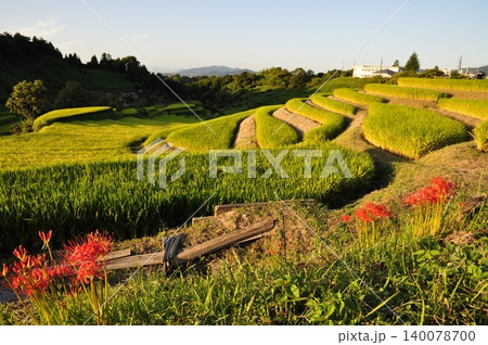 九月、下赤坂城跡付近から見た山と棚田 九月、下赤坂城跡付近から見た山と棚田 140078700