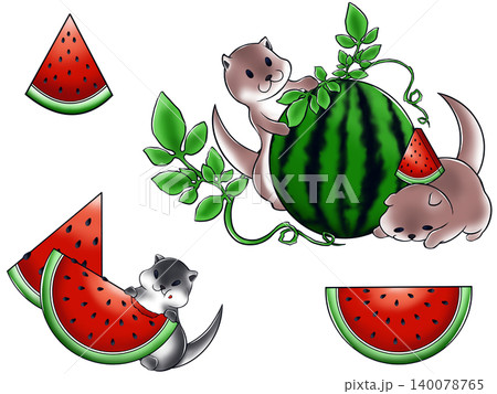 カワウソとスイカ　夏イラスト素材 140078765