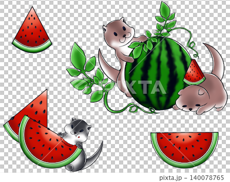 カワウソとスイカ　夏イラスト素材 140078765