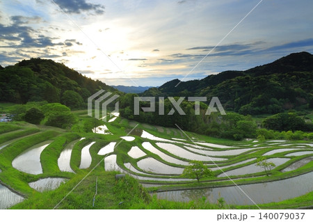 大山千枚田と朝焼けの空 大山千枚田と朝焼けの空 140079037