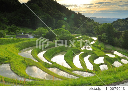 大山千枚田と朝焼けの空 140079048
