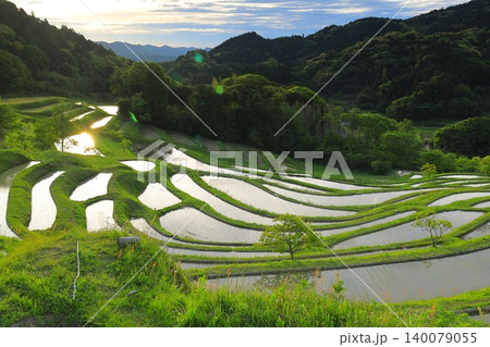 大山千枚田と朝焼けの空 大山千枚田と朝焼けの空 140079055