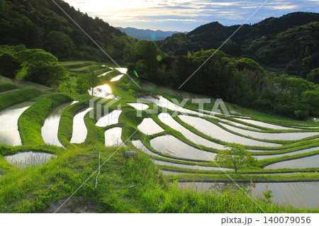 大山千枚田と朝焼けの空 大山千枚田と朝焼けの空 140079056