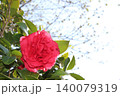 赤い椿 140079319