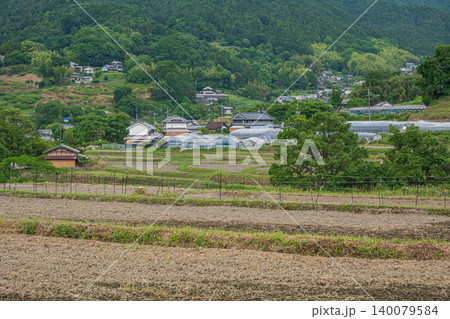 稲渕の棚田 日本の棚田百選 奈良県明日香村 稲渕の棚田 日本の棚田百選 奈良県明日香村 140079584