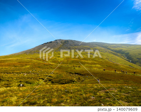 ベンネビス山頂へ続く登山道とハイカー (イギリス、スコットランド) ベンネビス山頂へ続く登山道とハイカー (イギリス、スコットランド) 140079609