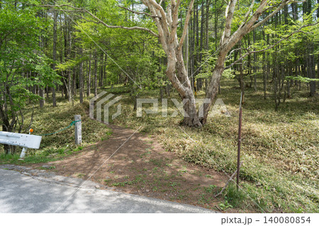 蓼科山の女乃神茶屋登山口(蓼科山登山口バス停) 蓼科山の女乃神茶屋登山口(蓼科山登山口バス停) 140080854